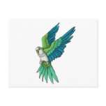 Quaker Parrot Products postcards