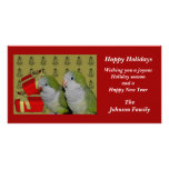 Quaker Parrots Animal Christmas Holiday Card Photo Cards