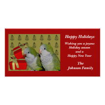 Quaker Parrots Animal Christmas Holiday Card Photo Cards