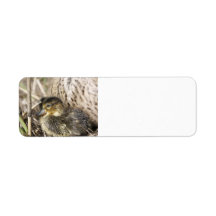 Quakling Return Labels