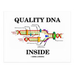 Quality DNA Inside (DNA Replication) Post Card