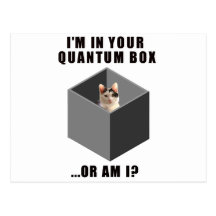 Quantum Cat Post Cards