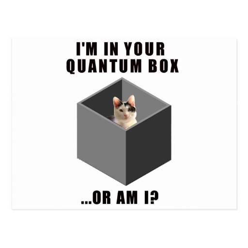 Quantum Cat Post Cards