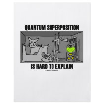 Quantum Superposition Is Hard To Explain (Physics)