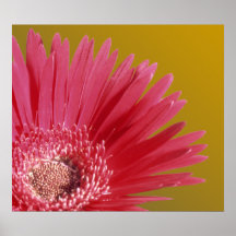 Quarter Daisy Print