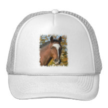 Quarter Horse Baseball Hat