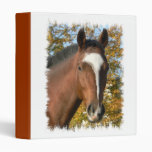 Quarter Horse Binder