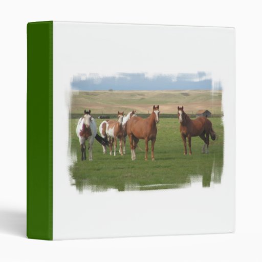 Quarter Horse Herd Binder