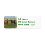 Quarter Horse Herd Mailing Label
