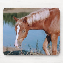 Quarter Horse Mouse Mats