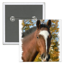 Quarter Horse Square Pin