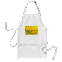 quarter sun aprons