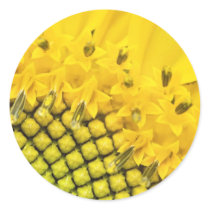 quarter sun stickers