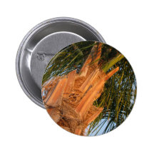Queen Anne Palm Tree Pinback Button
