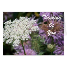 Queen Anne, ThinkingOfYou Cards