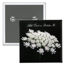 Queen Anne's Lace button