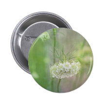 Queen Anne's Lace Button