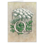 Queen Anne's Lace Flower Monogram Card
