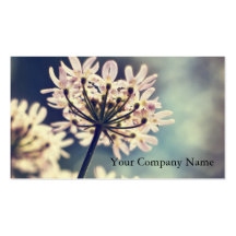 Queen Annes Lace flowers Custom Business Cards
