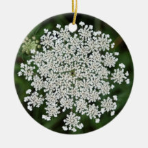 queen anne's lace - Joy Christmas Ornament