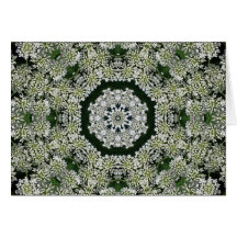 Queen Anne's Lace Kaleidoscope card
