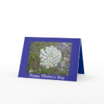 Queen Anne's Lace Mother's Day Card
