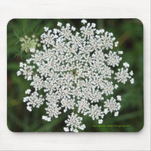 Queen Anne's Lace Mousepads