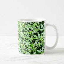 Queen Annes Lace Mugs