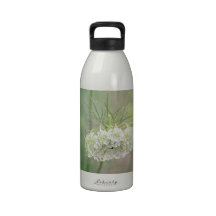 Queen Anne's Lace Reusable Water Bottle
