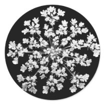 Queen Anne's Lace Round Stickers