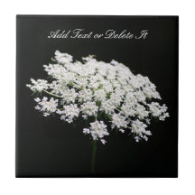Queen Anne's Lace tile