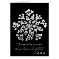 Queen Anne's Lace with Job 37:14 Greeting Cards