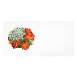 Queen Anne's Lace with Orange Flowers Picture Card