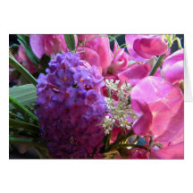 Queen Annes Shy Greeting Card