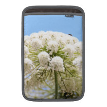 Queen Anne's white Lace flower against blue sky MacBook Air Sleeve
