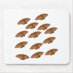 Queen Butterfly Swarm