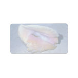 Queen conch (Strombus gigas) Shell Personalized Address Labels