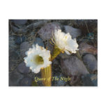 Queen Of The Night Cactus Postcard