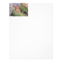 Queens crown letterhead template