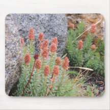 Queens crown mouse pad