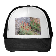 Queens crown trucker hats