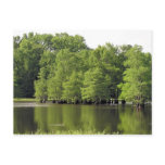 Quiet Cove Postcards
