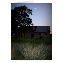 "Quiet Evening" Greeting Cards