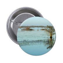 Quiet evening in the wetlands pin