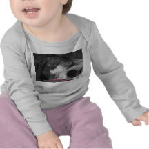 quiet the baby is sleeping shirt
