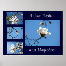 Quiet Walk under Magnolias! art print gifts Blue