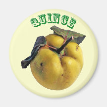 Quince - (Fridge Magnet Round)