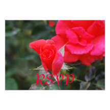 Quinceanera RSVP Red Rose Personalized Announcement