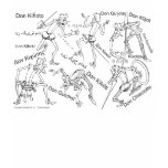 QUIXOTE IN TRANSLATION Camiseta t-shirts