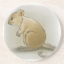 Quokka Coaster